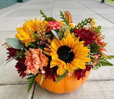 Fall Harvest Orange Pumpkin