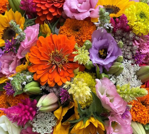 Flowers