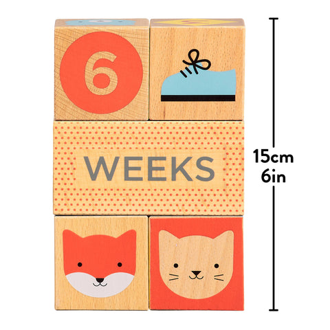 Wooden Baby Milestone Blocks