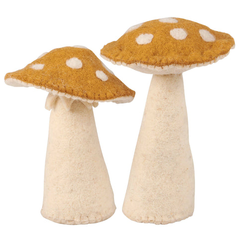 Toadstool Mushrooms Critters