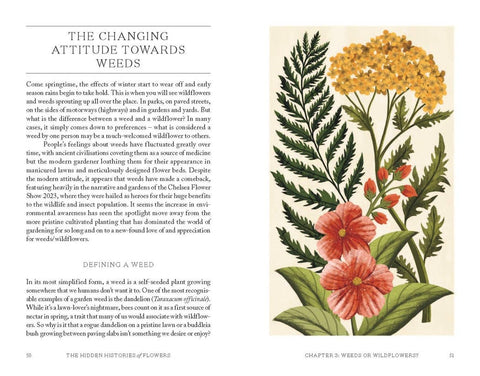 The Hidden Histories of Flowers