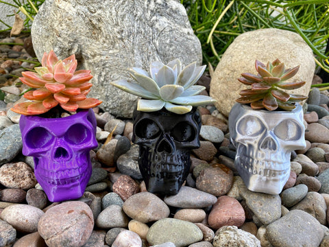 NumanPrints - Skull Planter Pot Indoor Outdoor succulent Plant 3D Printed: Gold / Large (Copy)