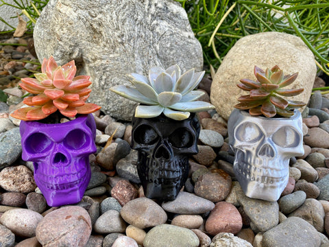 NumanPrints - Skull Planter Pot Indoor Outdoor succulent Plant 3D Printed: Black / Large