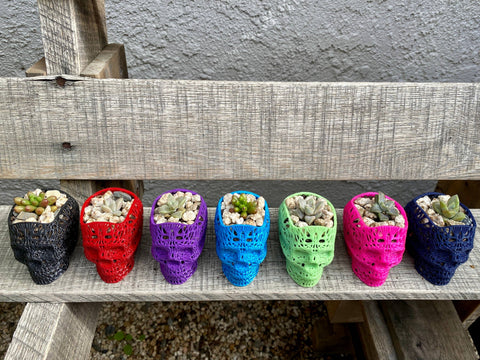 NumanPrints - 3D Printed Succulent Skull Planter Pot Small Indoor: Pink / 5 Inch Skull