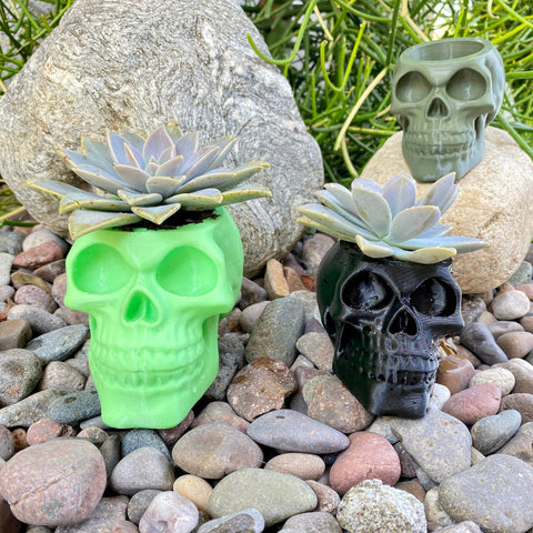 NumanPrints - Skull Planter Pot Indoor Outdoor succulent Plant 3D Printed: Gold / Large (Copy)