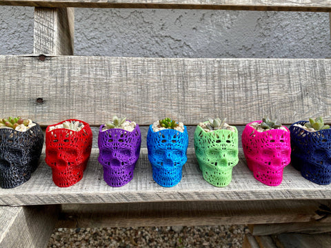 NumanPrints - 3D Printed Succulent Skull Planter Pot Small Indoor: Pink / 5 Inch Skull