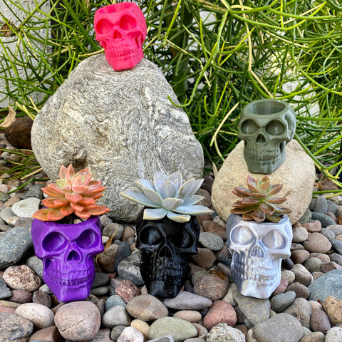 NumanPrints - Skull Planter Pot Indoor Outdoor succulent Plant 3D Printed: Bone White / Large