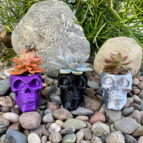 NumanPrints - Skull Planter Pot Indoor Outdoor succulent Plant 3D Printed: Bone White / Large