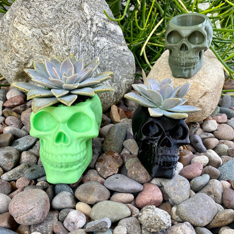 NumanPrints - Skull Planter Pot Indoor Outdoor succulent Plant 3D Printed: Gold / Large (Copy)