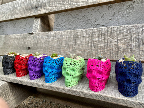NumanPrints - 3D Printed Succulent Skull Planter Pot Small Indoor: Gold / 5 Inch Skull